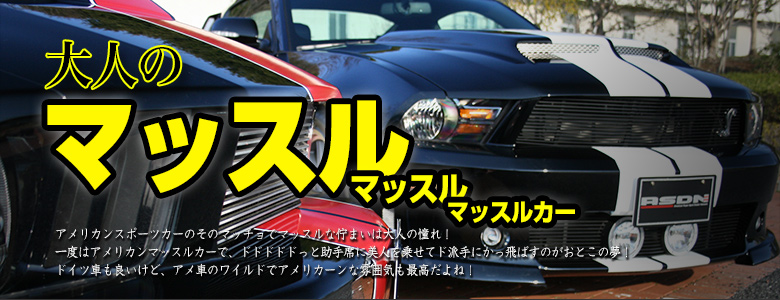 アメリカンマッスルカー アメ車 中古車 検索サイト エーカーライフ Com