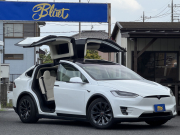 モデルX